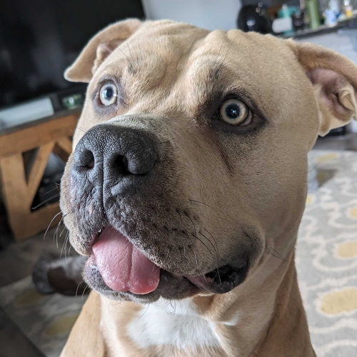 Tyson D., Computer Technician of ZoomHash LLC